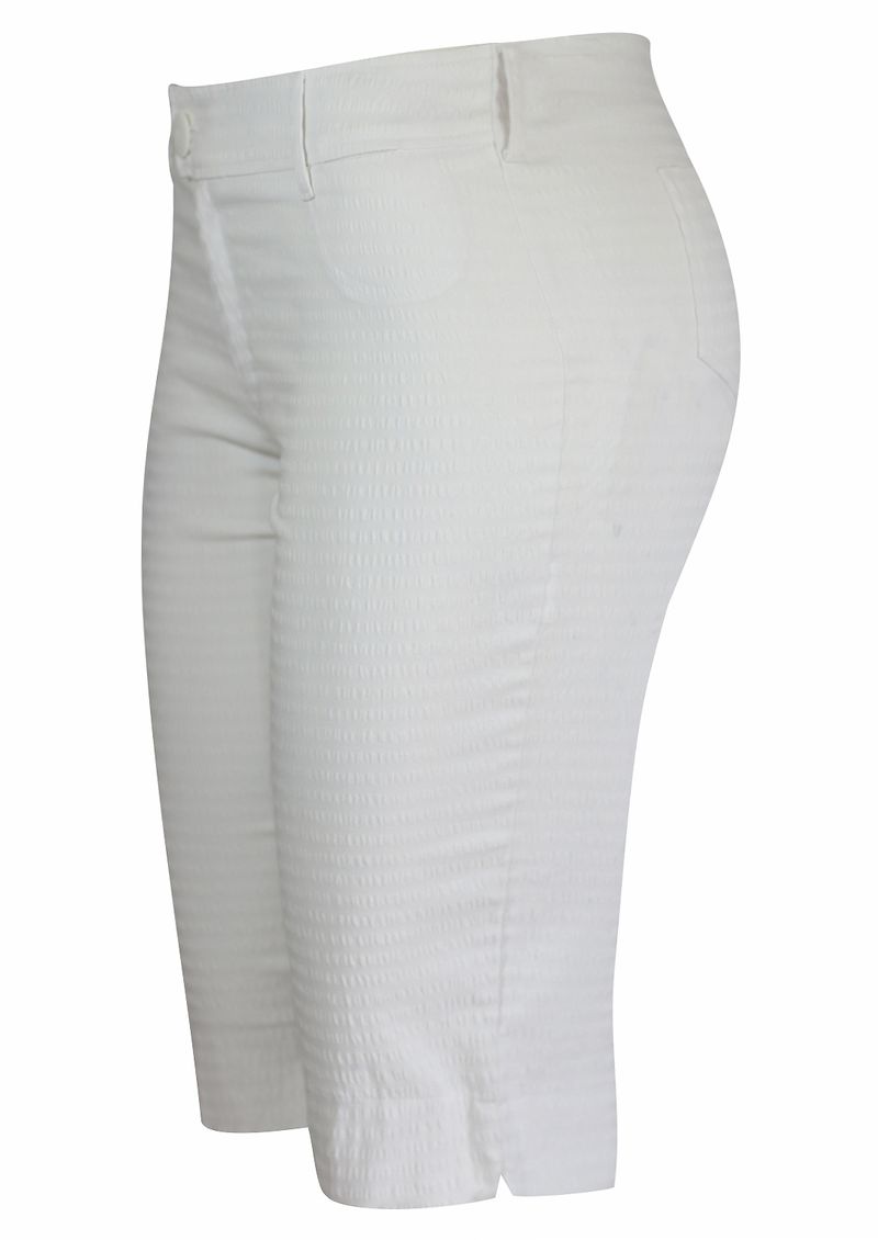 8466-AN-BRANCO-F2
