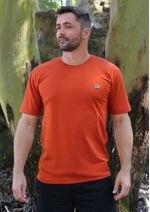 camiseta-basica-masculina-telha-pauapique-0367-f